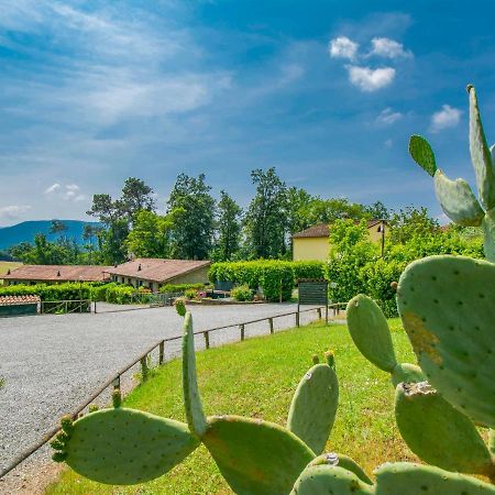 Holiday Home I Pini By Interhome San Macario In Piano Extérieur photo